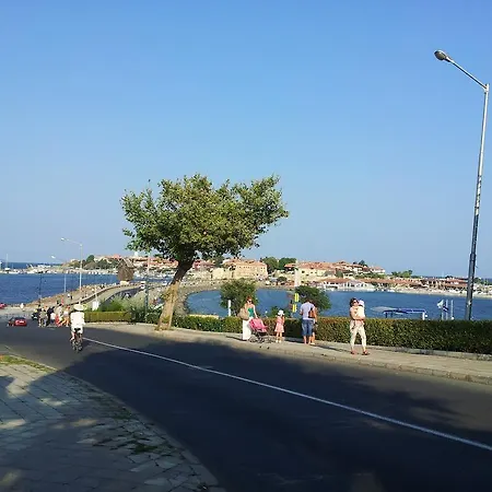 Summer Dreams Sunny * Слънчев бряг